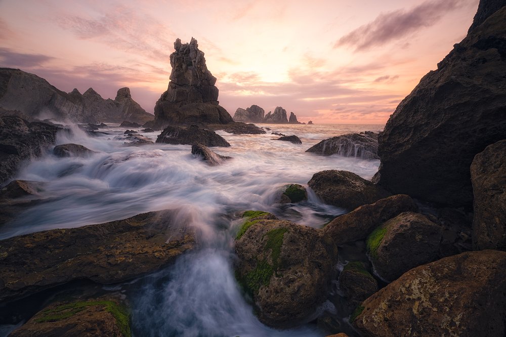 Photograph by Prince