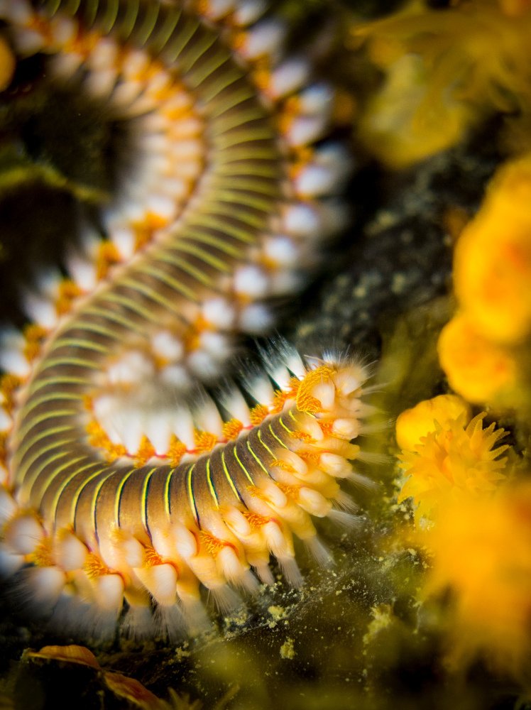 Photograph by FATES Yacine