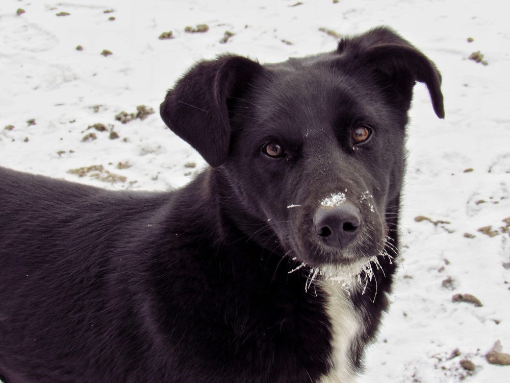 Photograph by Марина Савченко