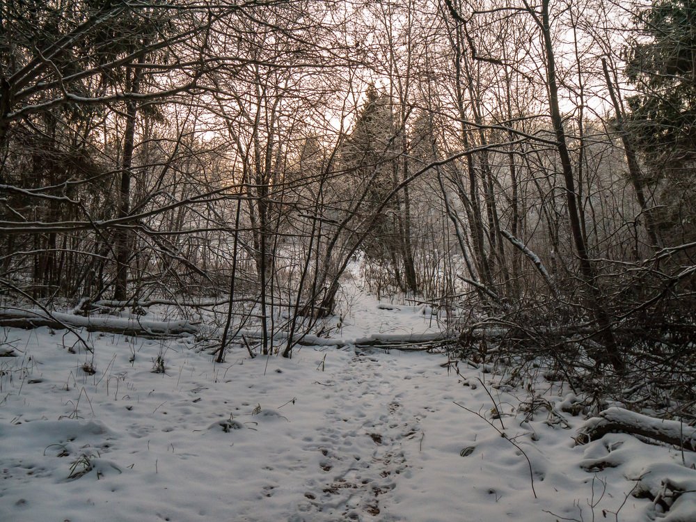Photograph by Михаил Шохин