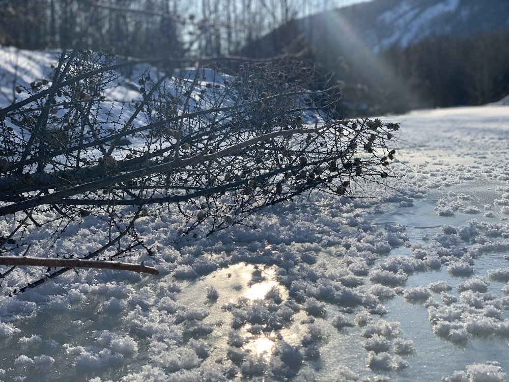 Photograph by Tamara Sulzhik