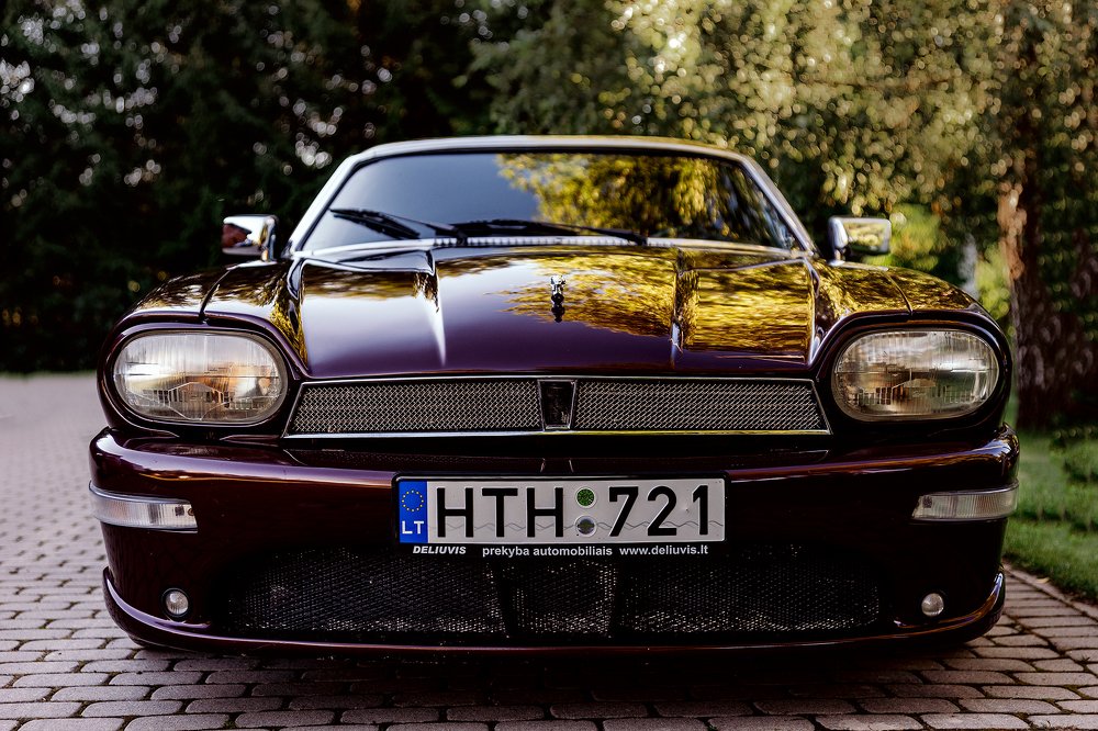 Photograph by Dace Spalviņa