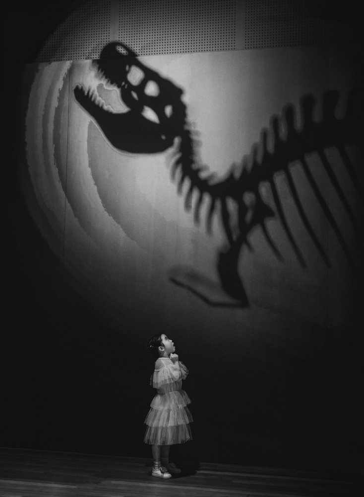 Photograph by Derek Zhang