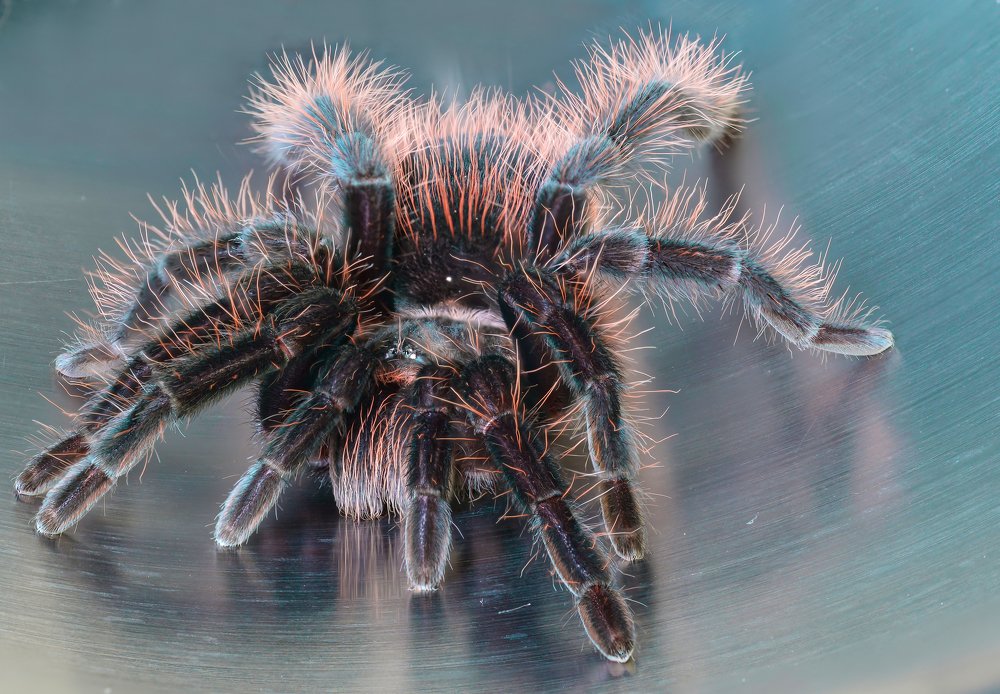 Photograph by Олег Урасов