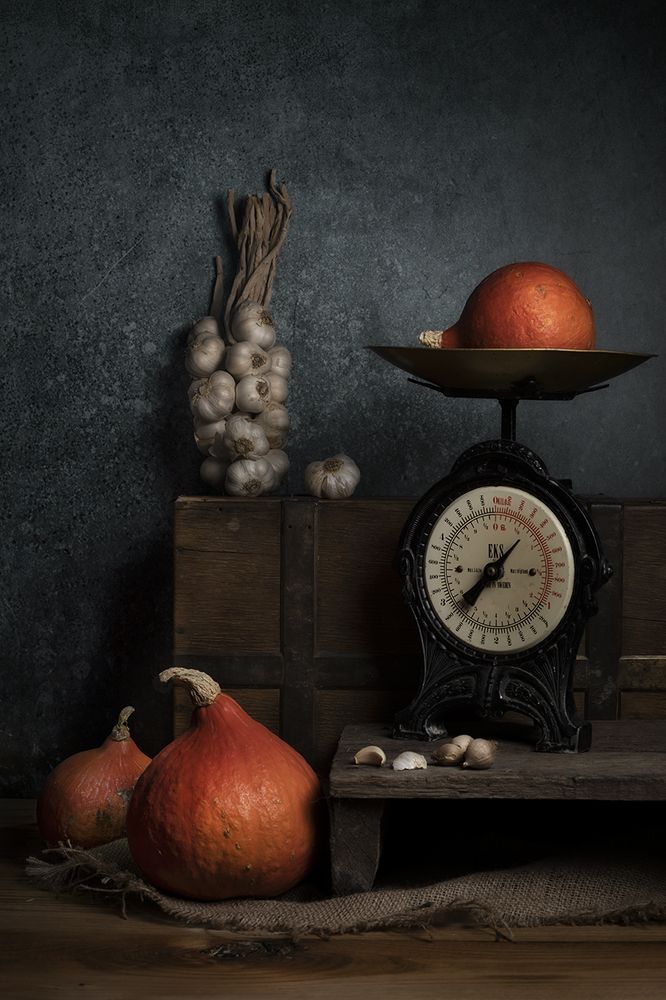 Фотография автора FATIH GONUL