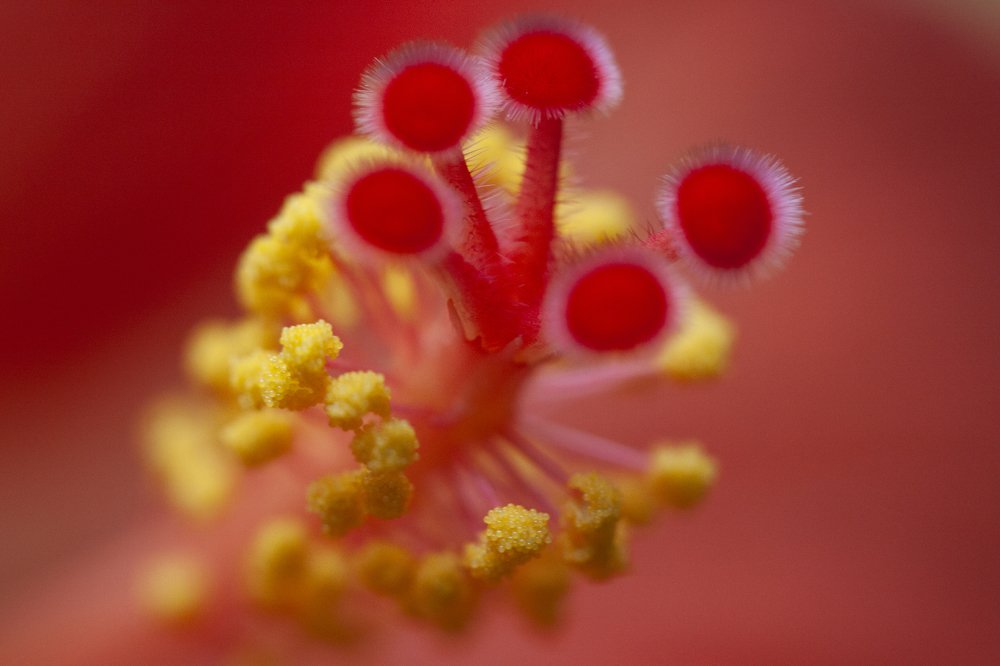 Photograph by Алла