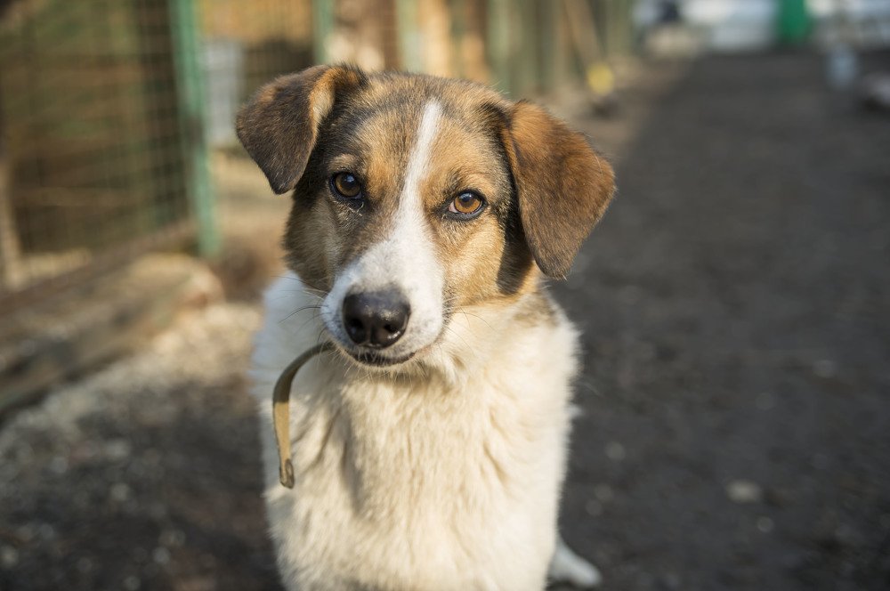 Photograph by Анна Цыплакова