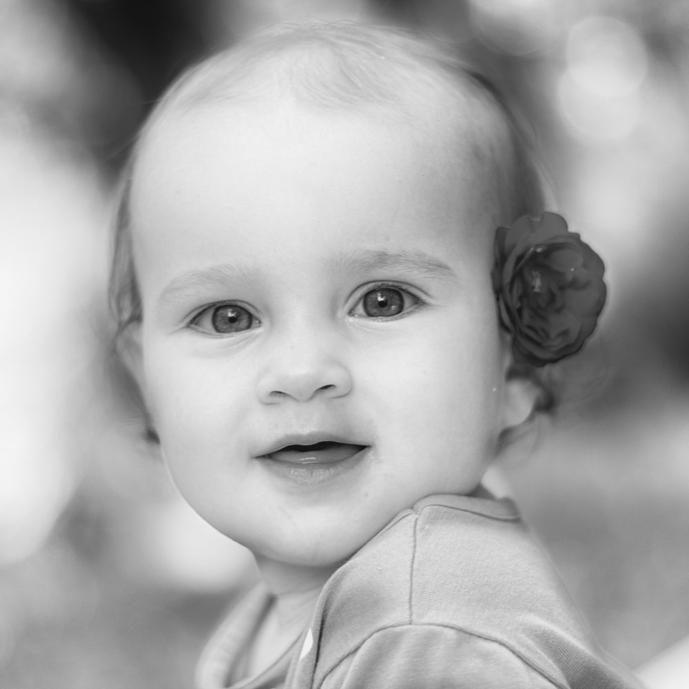 Photograph by Svetozar Dobrichkov