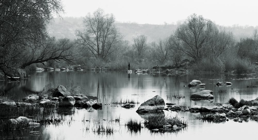 Photograph by Yulia Padalko