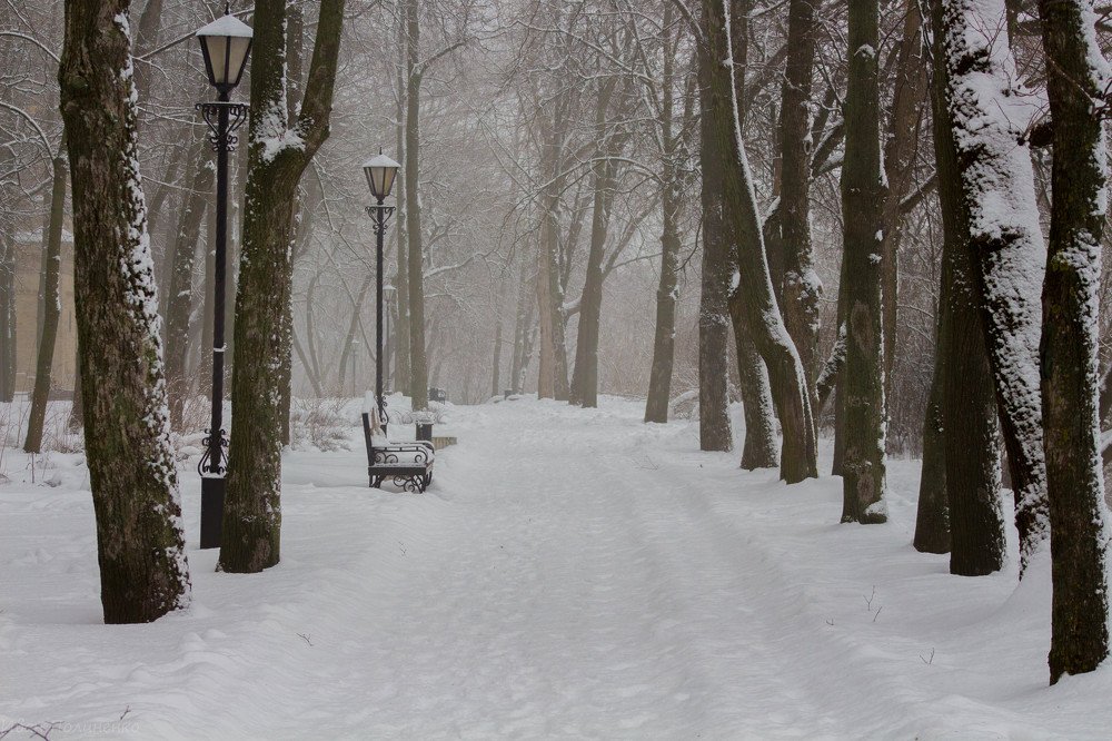 Photograph by Иван Полиненко