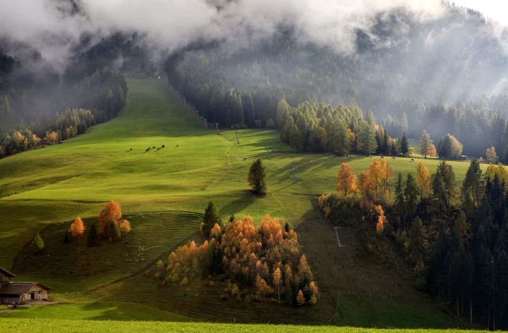 Фотография автора Милокост Алексей