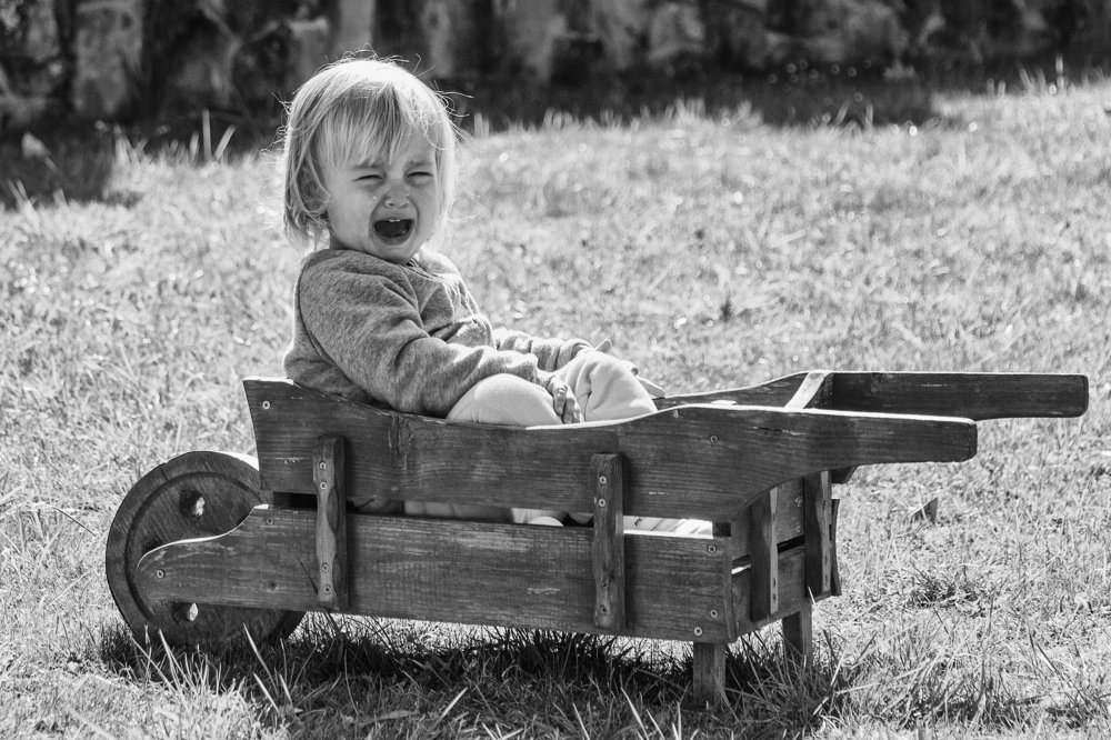 Photograph by Svetozar Dobrichkov