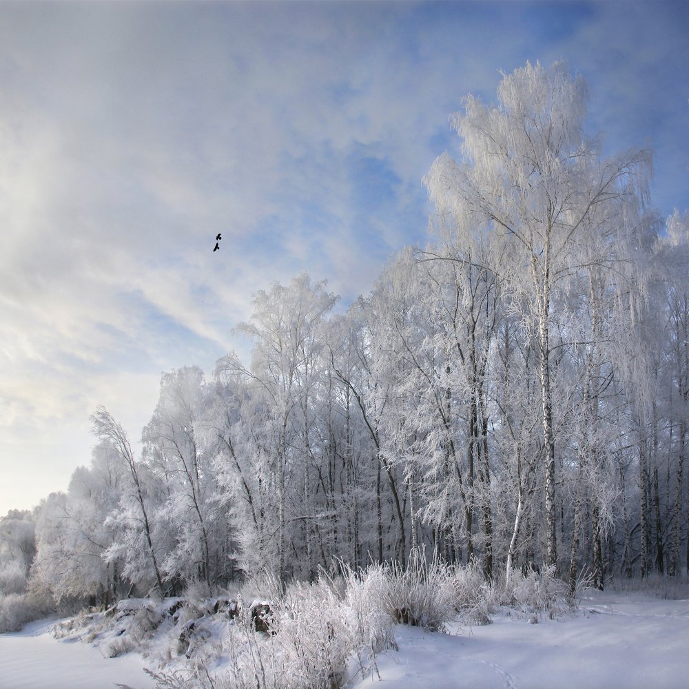 Photograph by Олег Машковский