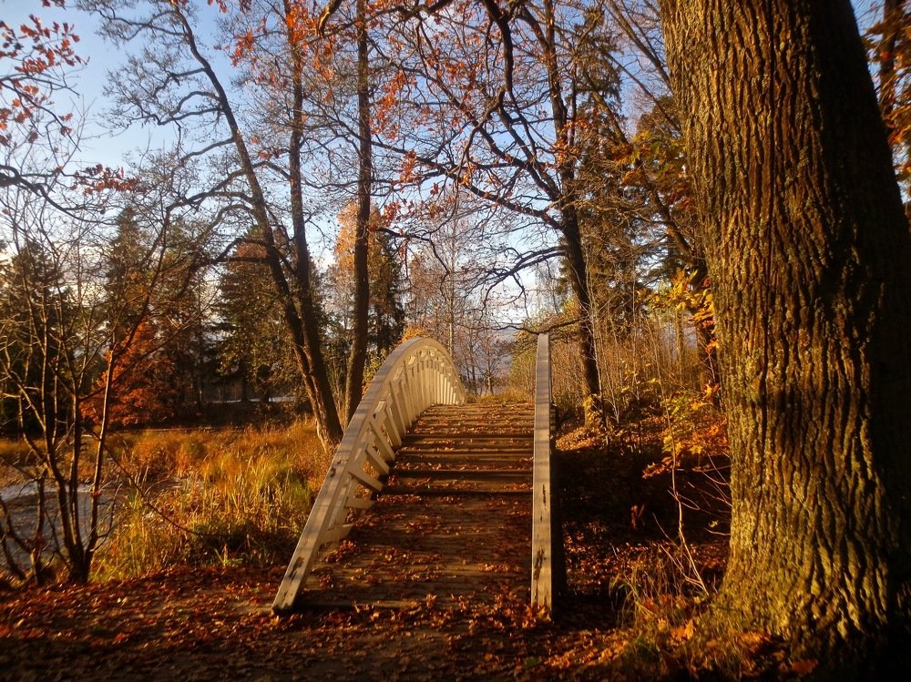 Photograph by Елена Жукова