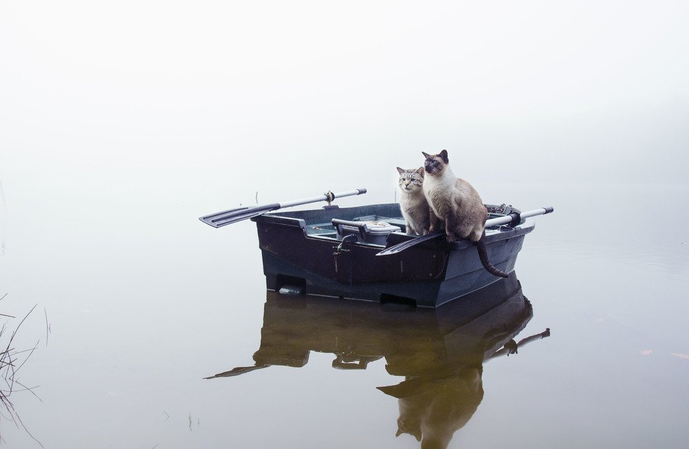 Photograph by LYUDMYLA POKRYSHEN