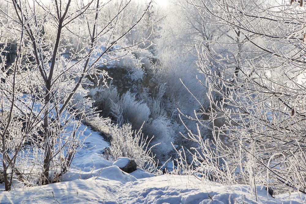 Photograph by Олег Машковский