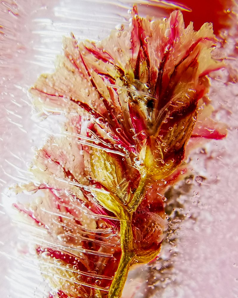 Фотография автора Наталья