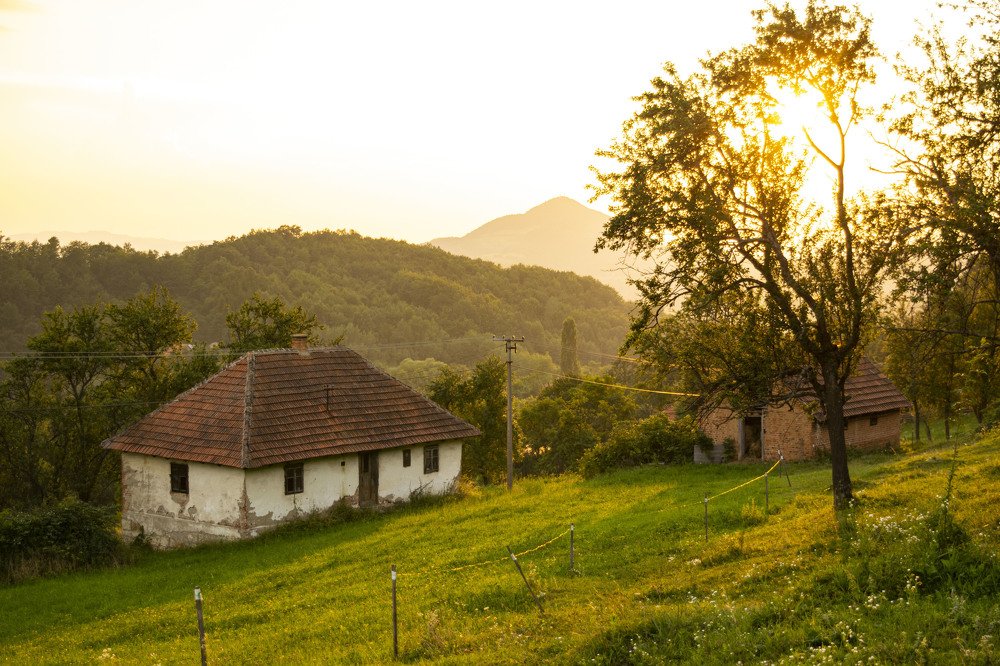 Photograph by Milica Matović