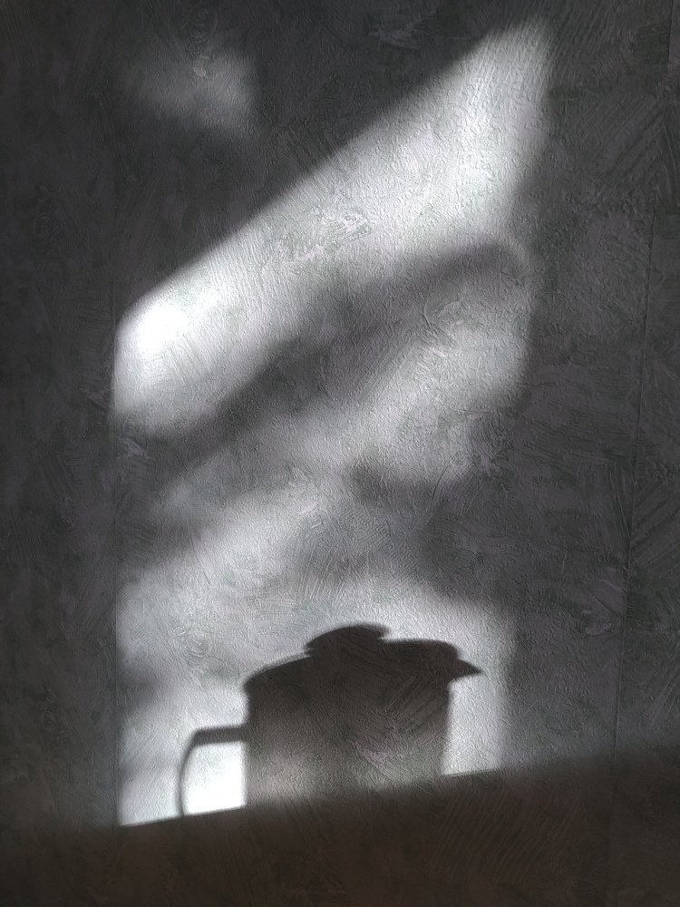 Photograph by Анастасия Орлова