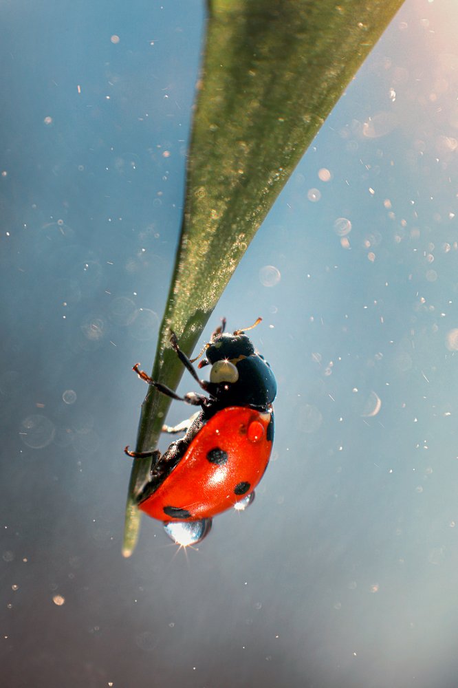 Photograph by Алевтина Иванова