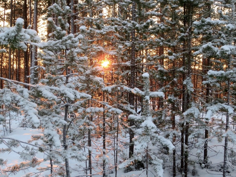 Photograph by Елена Жукова