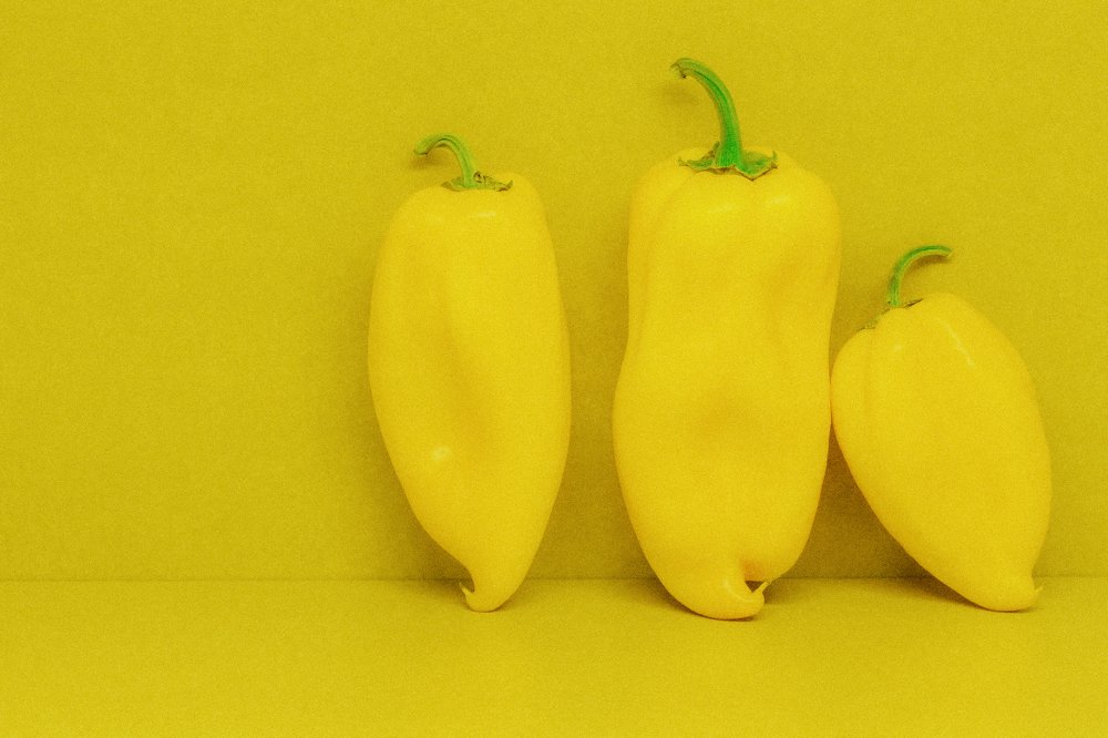 Photograph by Jelena Murina