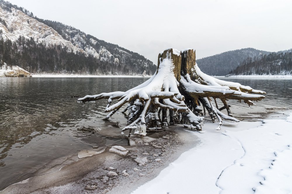 Photograph by Людмила