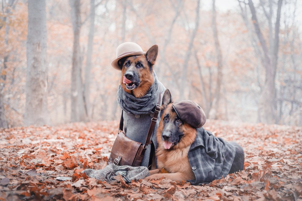 Фотография автора Дарина Матасова