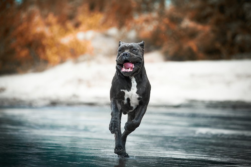 Фотография автора Дарина Матасова