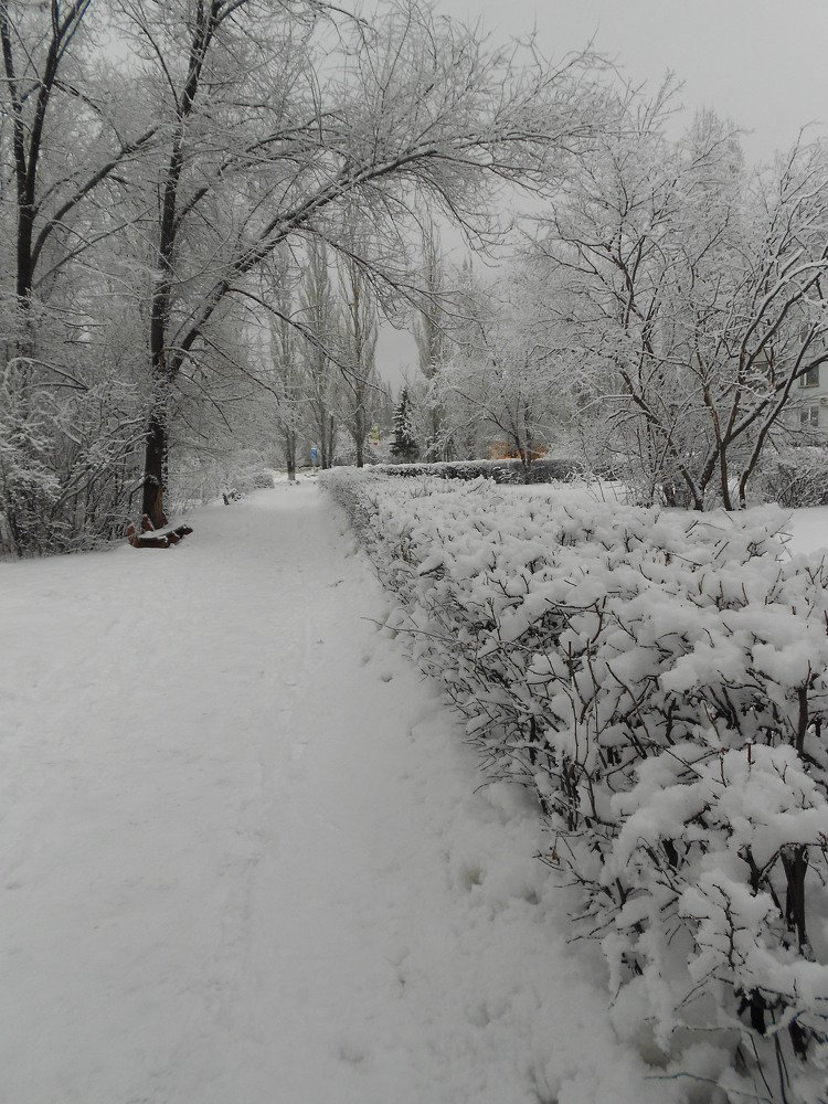 Photograph by Любовь Панфилова