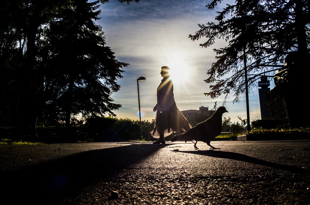 Photograph by Михаил Иванов