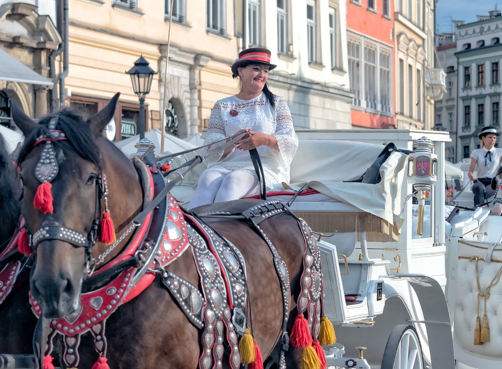 Photograph by Ilya Spektor