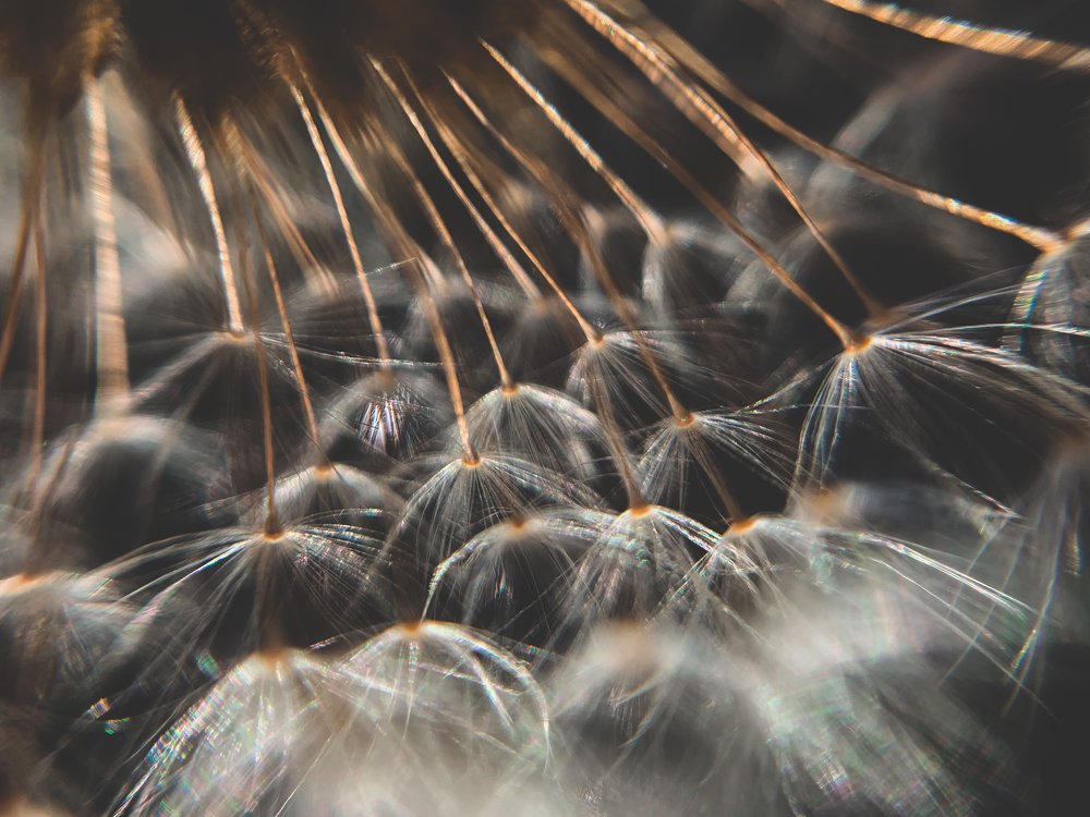 Photograph by Вера Силкина