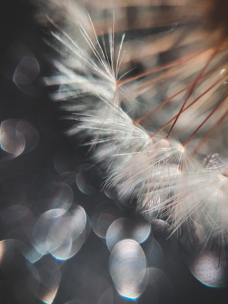 Photograph by Вера Силкина