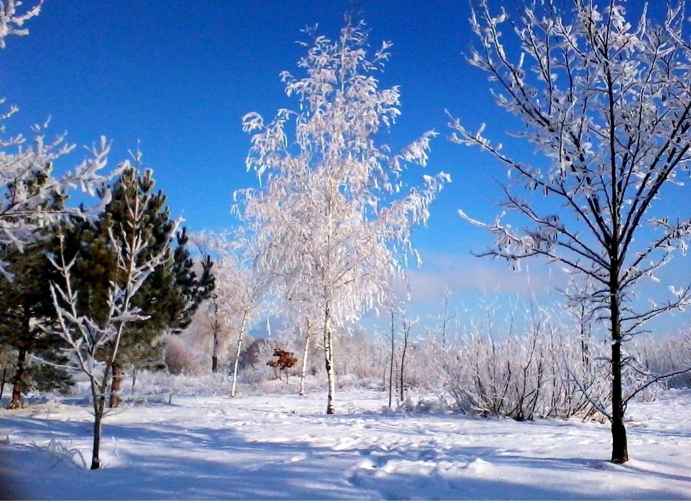 Photograph by Петр Калинкин