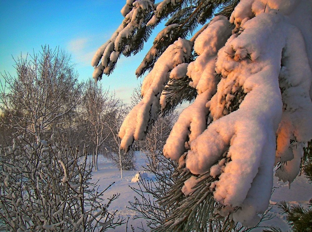 Photograph by Петр Калинкин