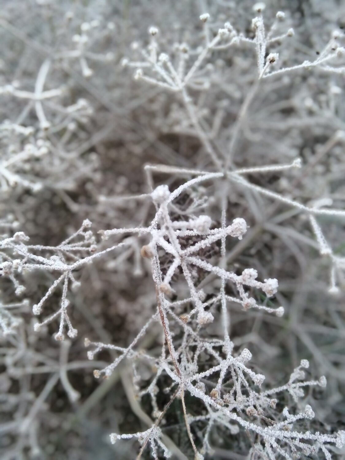 Photo #5388920