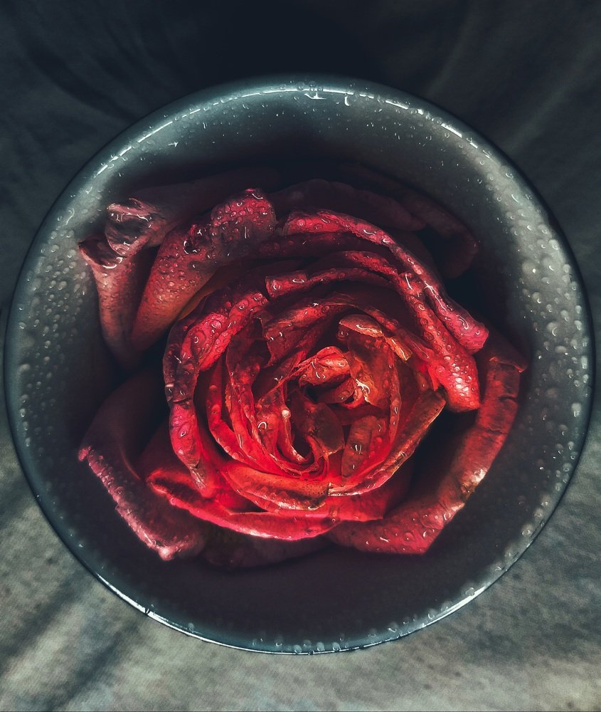 Photograph by Ольга Веселова