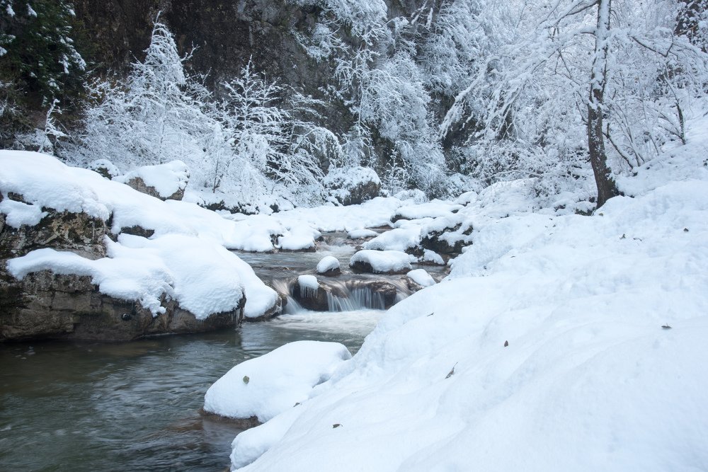 Photograph by Михаил Кравченко