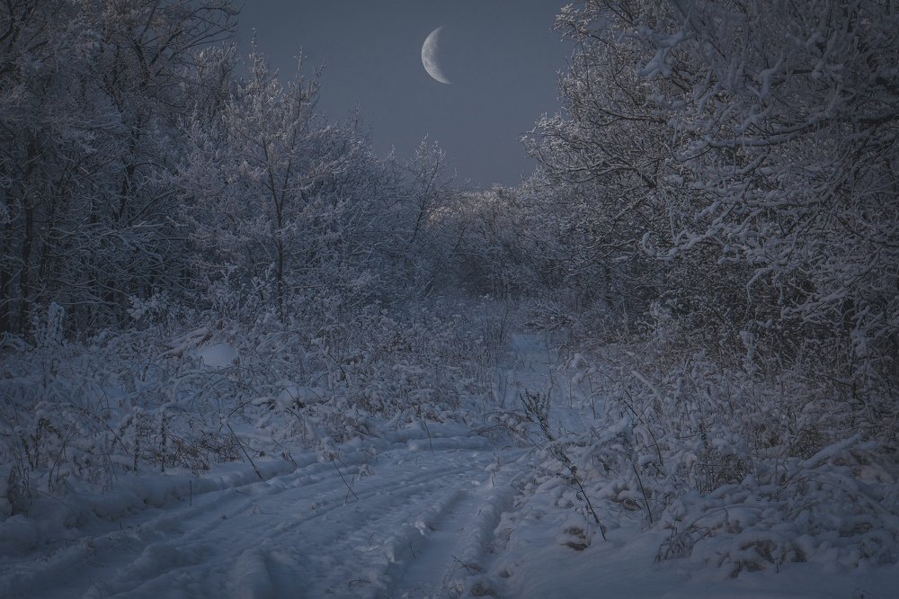 Photograph by Рымаров Александр