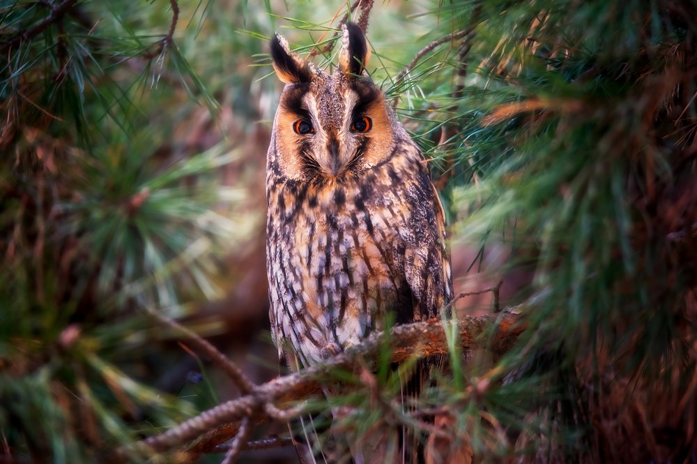 Photograph by Alexander Plekhanov