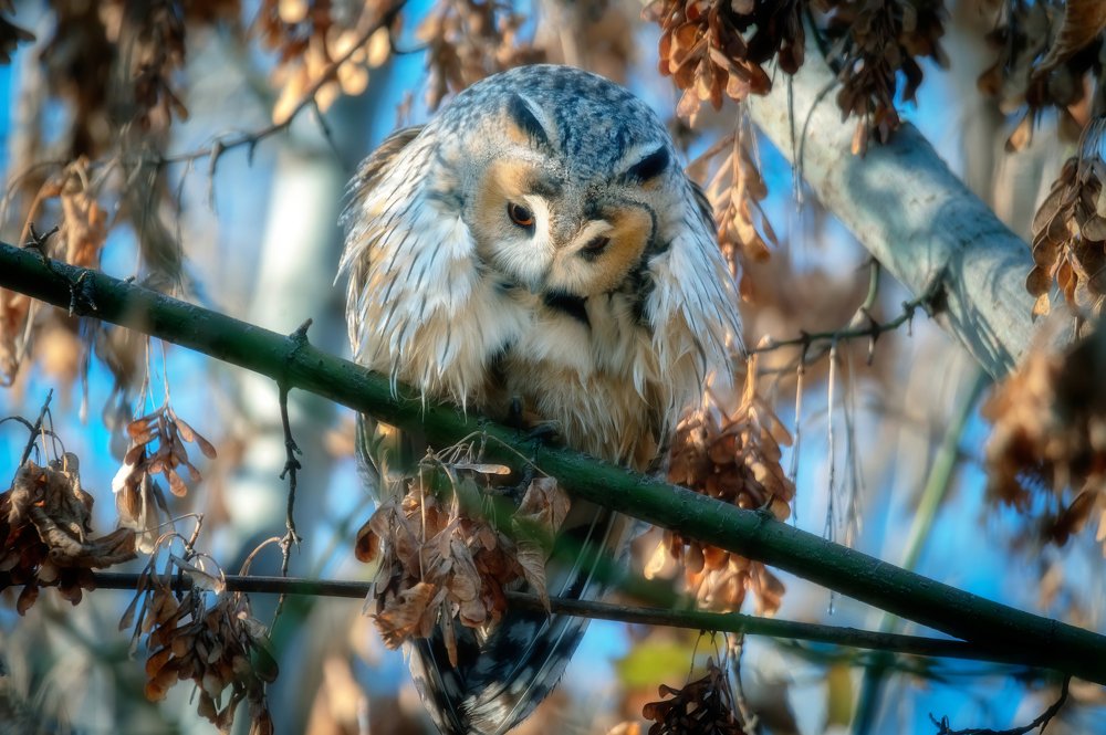 Photograph by Alexander Plekhanov