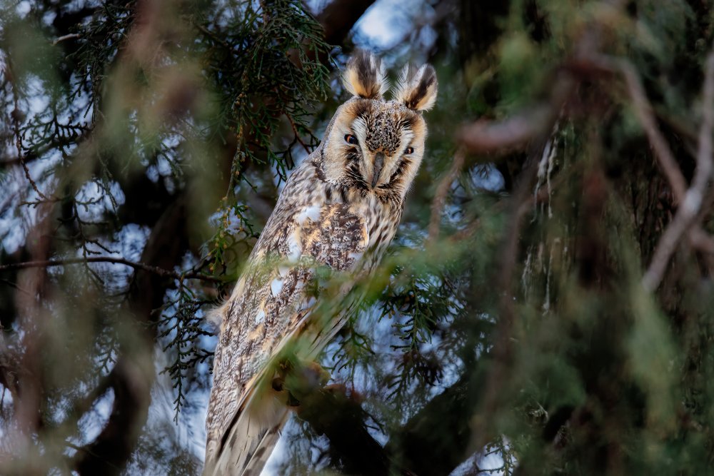 Photograph by Alexander Plekhanov