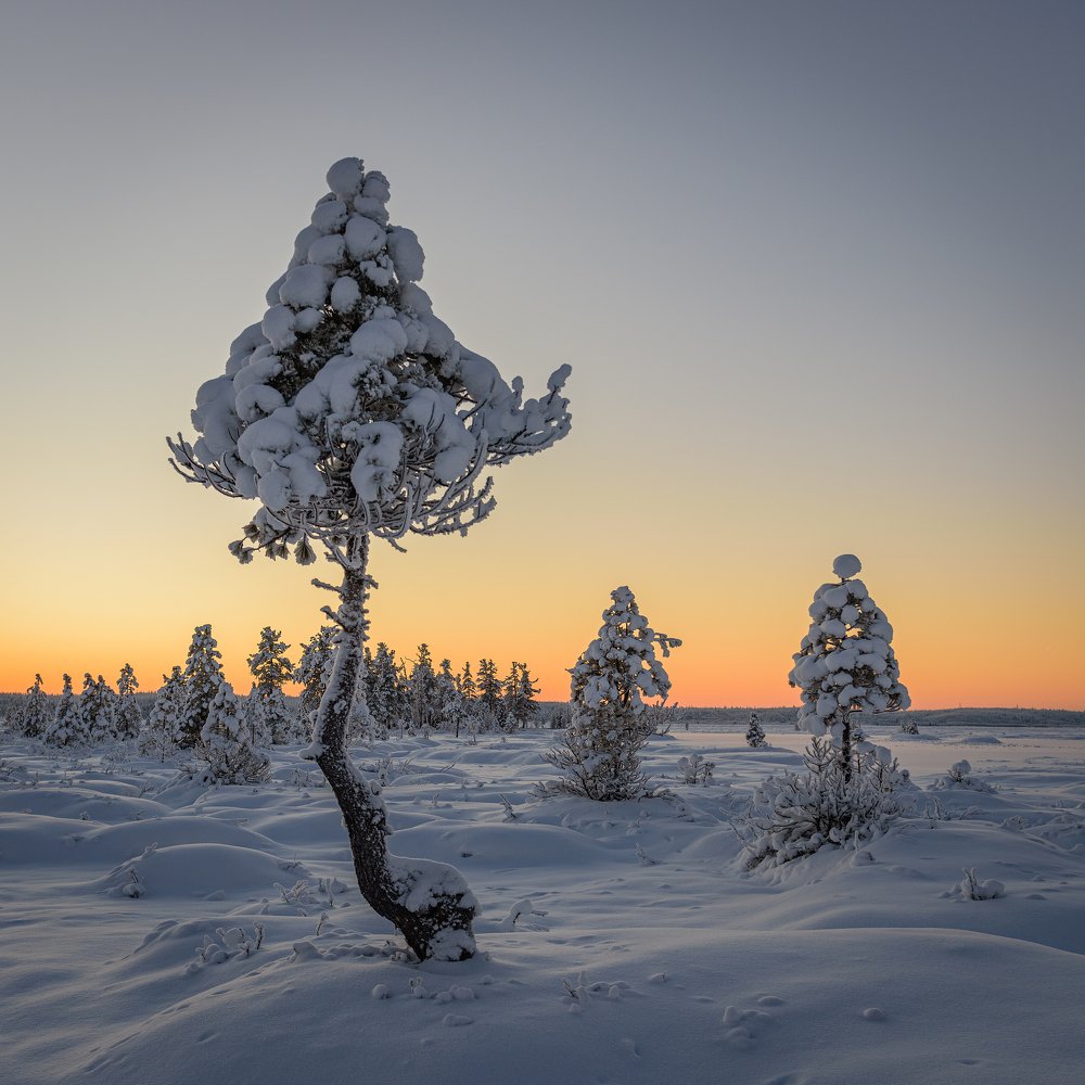Одиночество