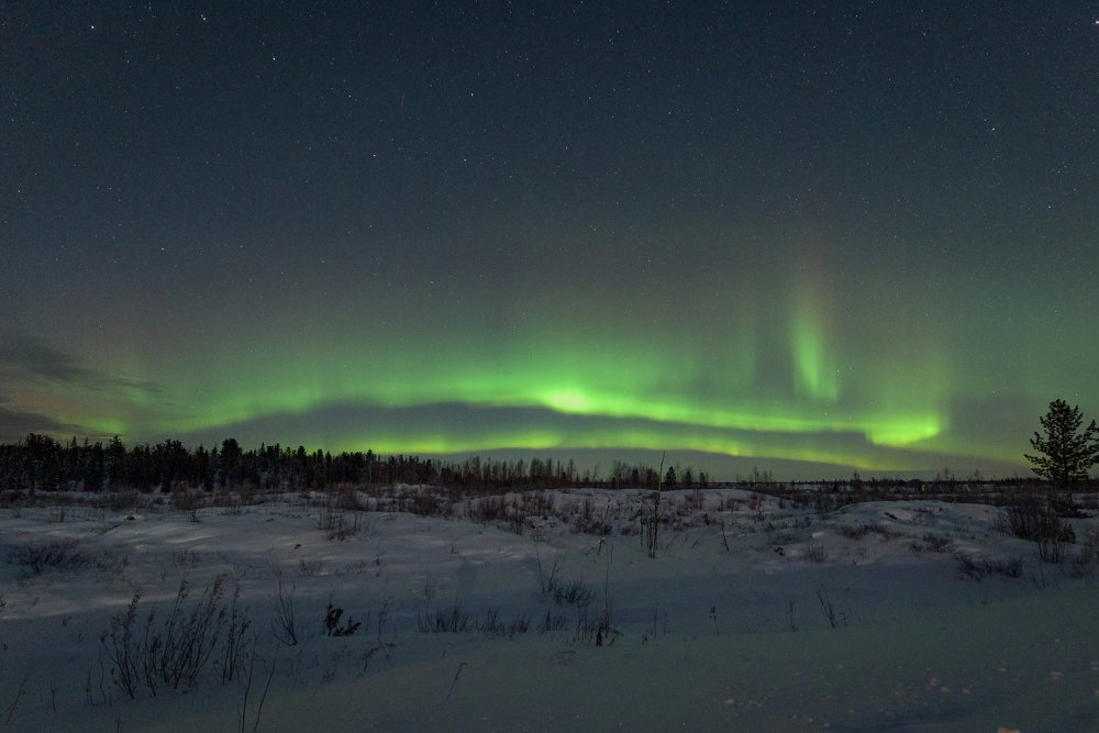Сияние над тундрой
