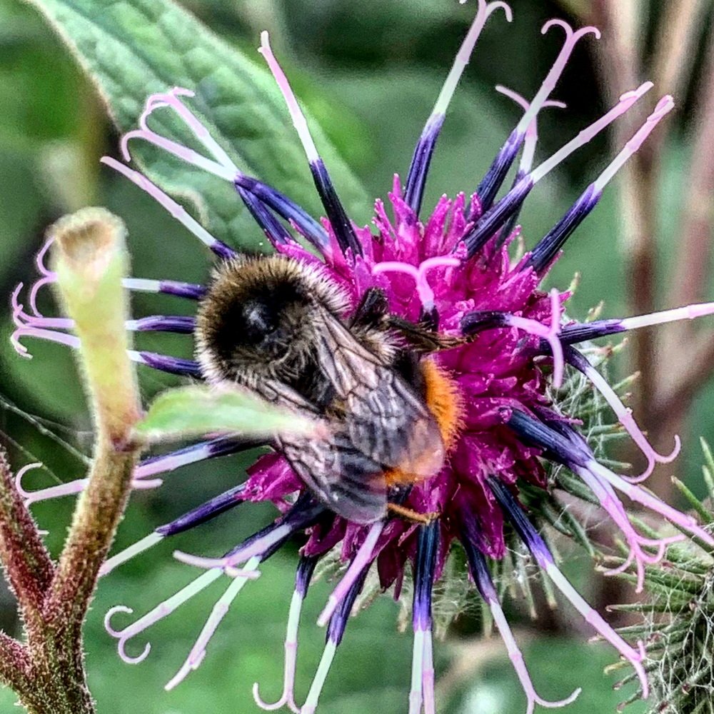 Photograph by Екатерина Василькова