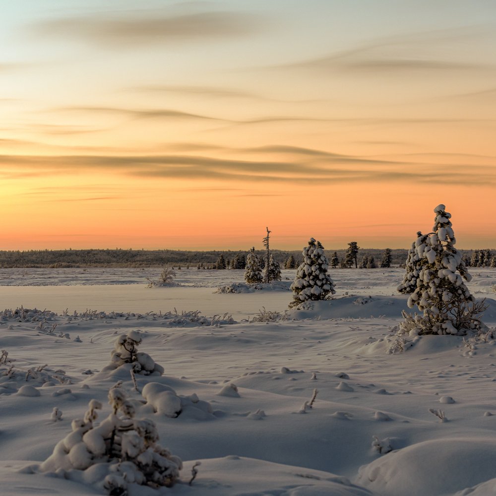 Закат в тундре
