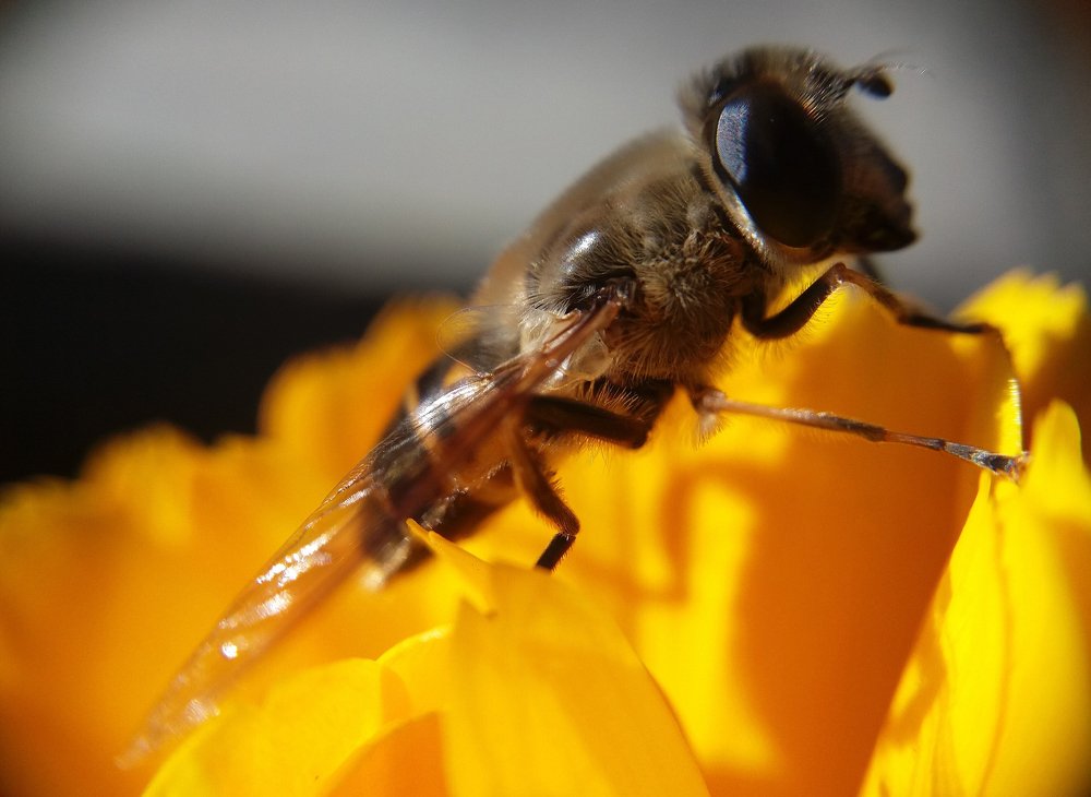 Photograph by Ritu Dinkar