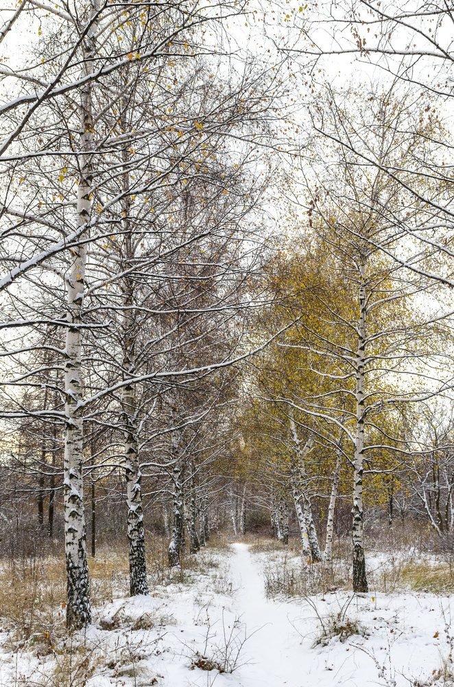 Золото на белом