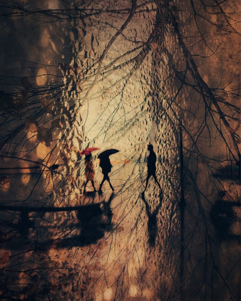 Photograph by Yalim Vural